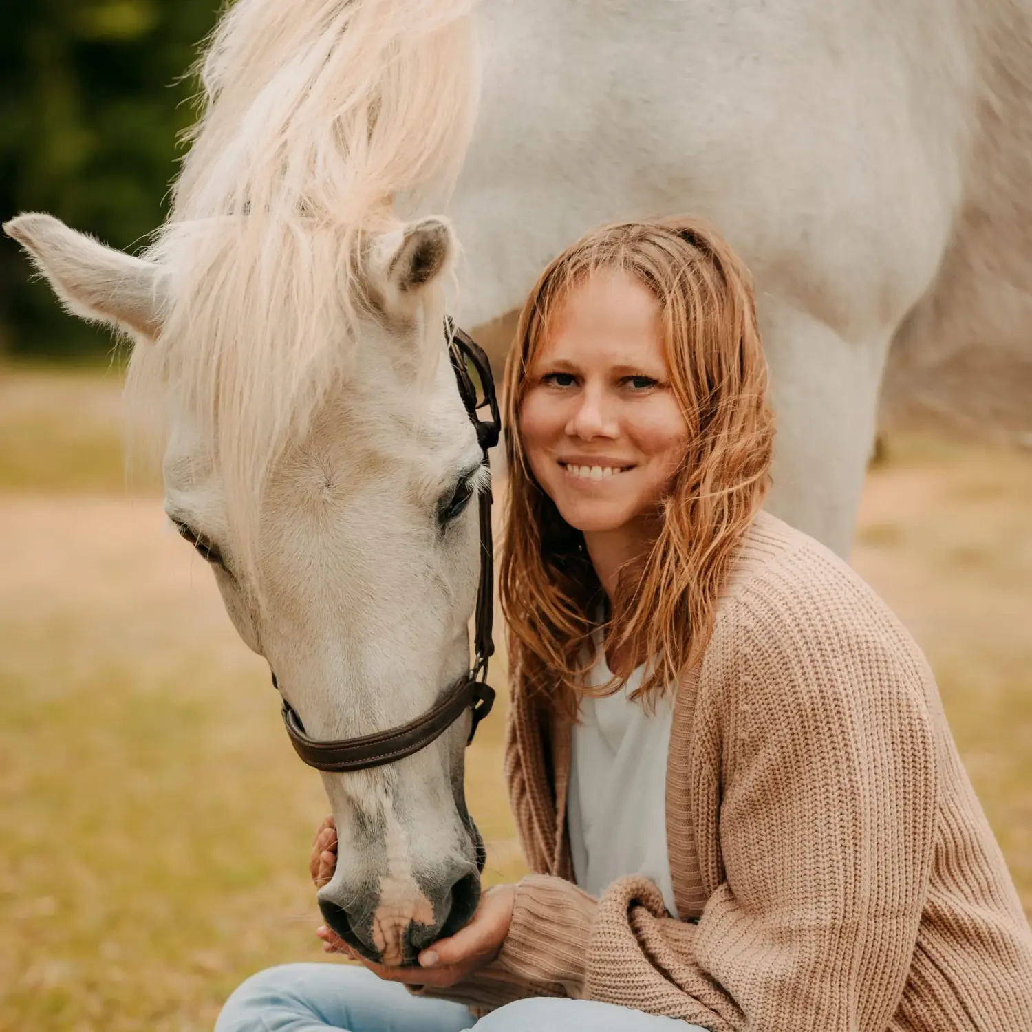 systemische Beratung