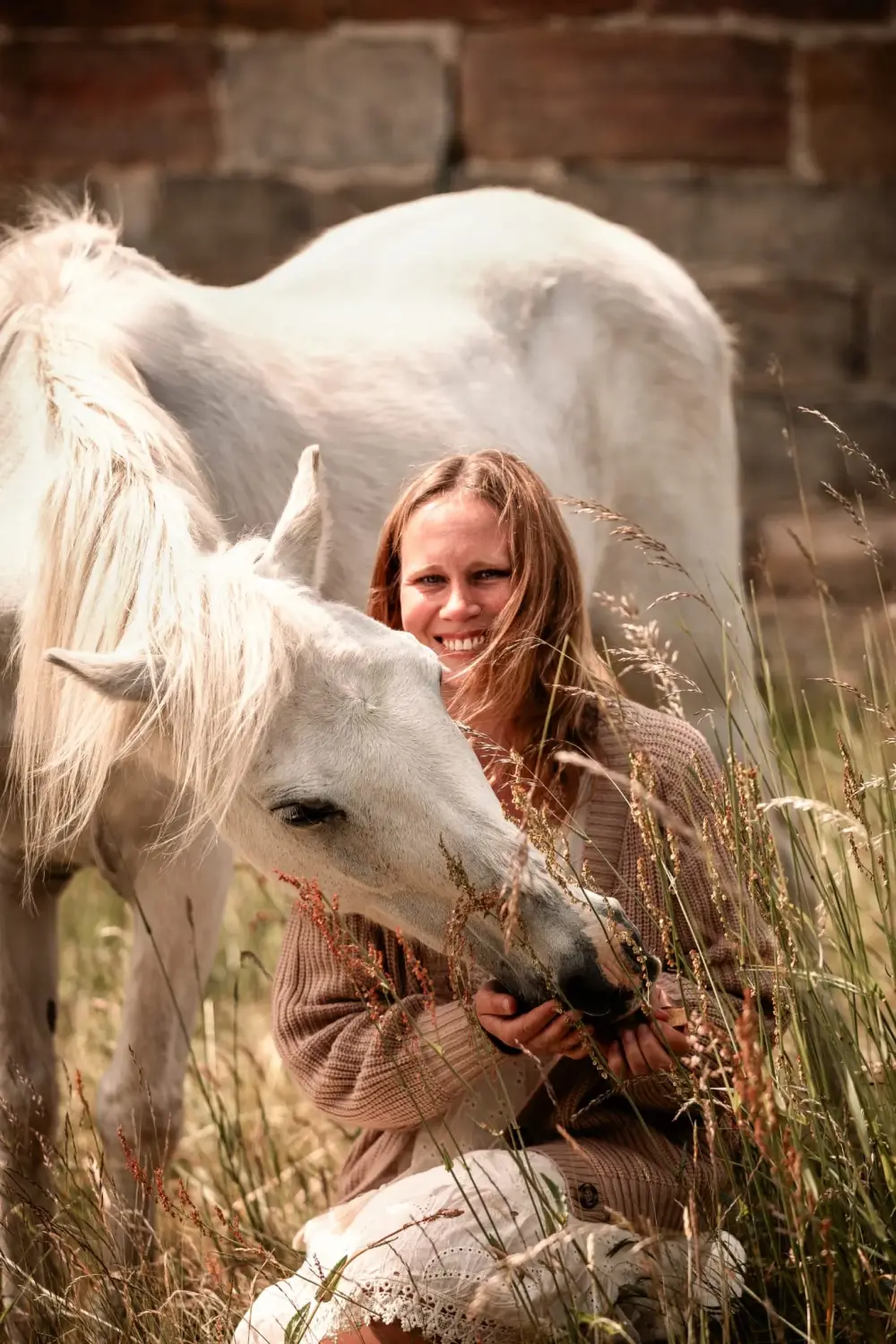 pferdegestütztes Coaching Springe